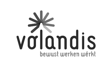 Volandis logo